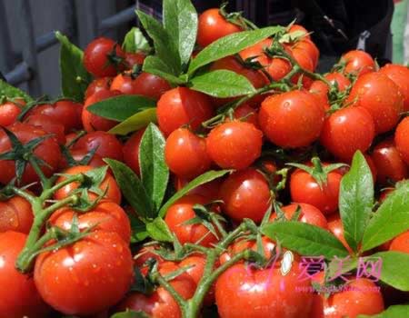 ���ἡ�������� ��������7��Ч