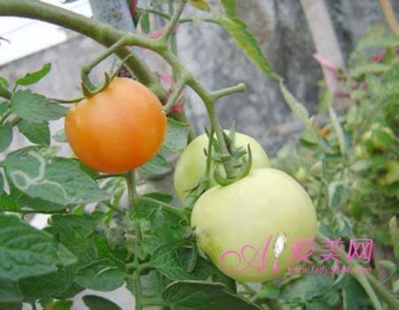 ���ἡ�������� ��������7��Ч