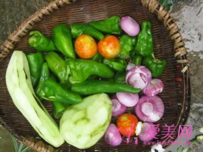 ��������л������ȡʳ�� �Զ�ʳ���Ӫ��