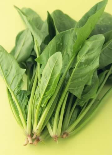 11����ʳԤ�����Ʋ� ƶѪʹ�����ɵ���