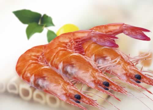 11����ʳԤ�����Ʋ� ƶѪʹ�����ɵ���