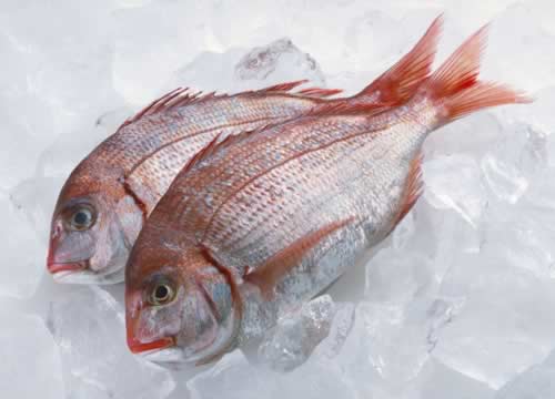 11����ʳԤ�����Ʋ� ƶѪʹ�����ɵ���