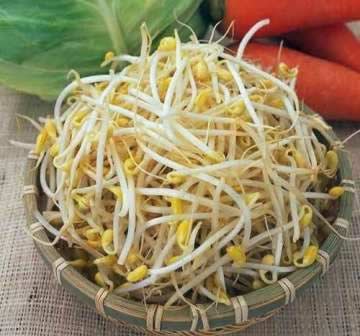 ʮ���߲����ʺ϶���� �Է����ֶ���