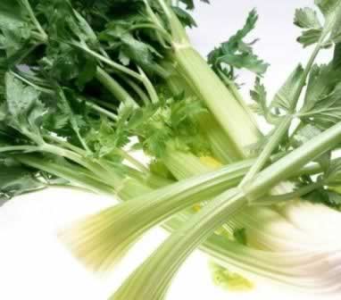 ʮ���߲����ʺ϶���� �Է����ֶ���