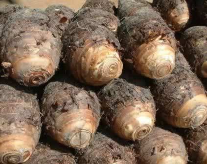 十种蔬菜最适合冬天吃 吃法多种多样