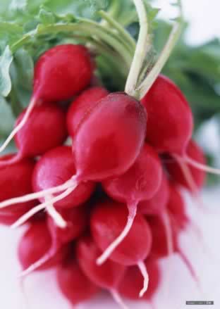 �����ܲ��ĳԽ� �����ܲ�ʤ����ҩ