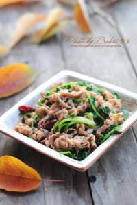 ��Ȼ����Ƭ������