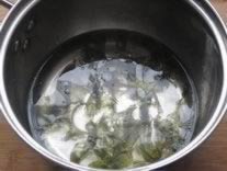 ����С��⽵�����