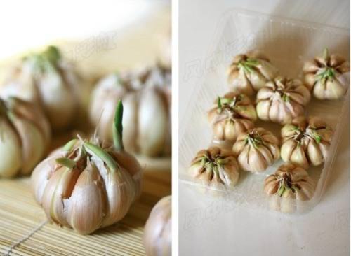 ���糴���������