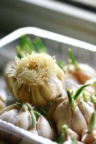 ���糴���������