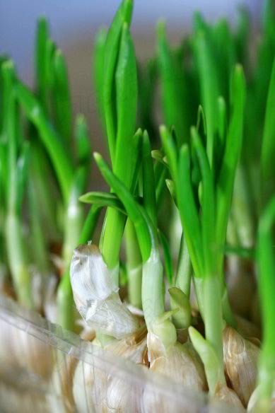 ���糴���������