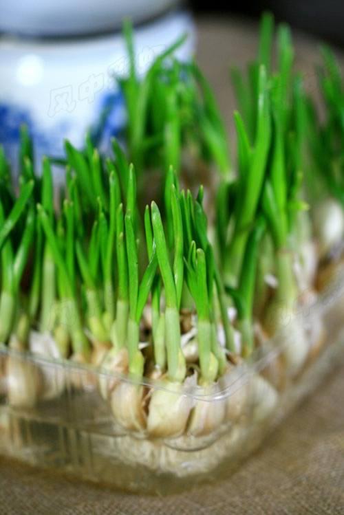 ���糴���������