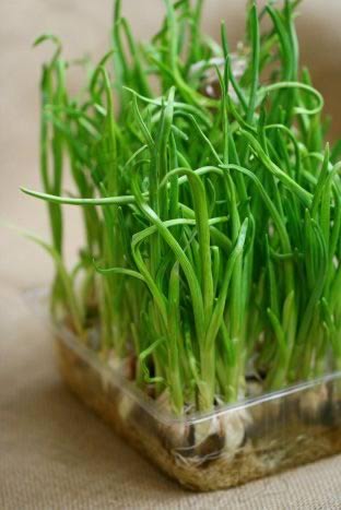 ���糴���������