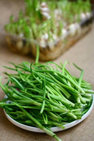 ���糴���������