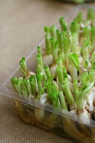 ���糴���������