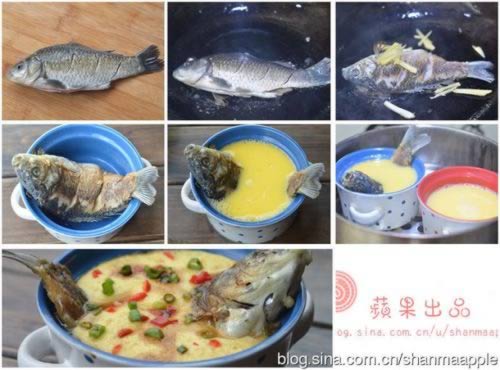 Ӫ������ζ����������������