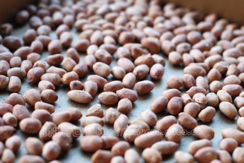 ��������㻨��������