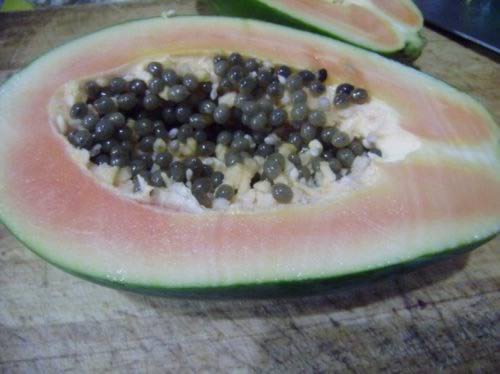 青木瓜排骨汤的做法