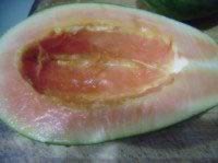 ��ľ���Ź���������