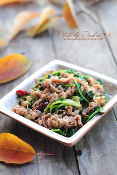 ��Ȼ����Ƭ������