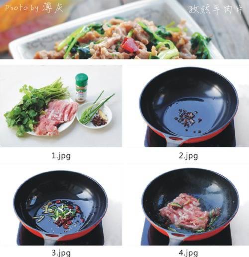 ��Ȼ����Ƭ������