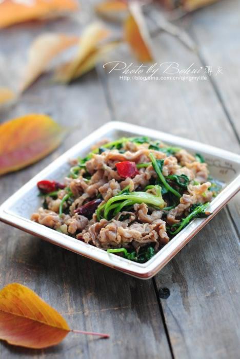 ��Ȼ����Ƭ������