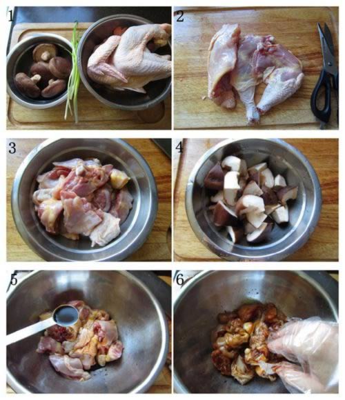 �㹽������������