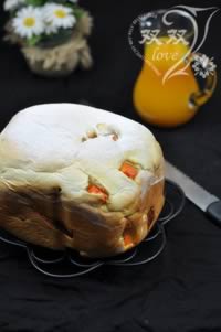 �Ϲϴ���������������