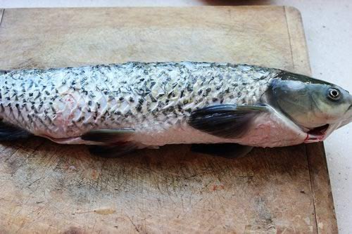 ����ͥ������˵�����