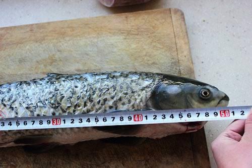 ����ͥ������˵�����