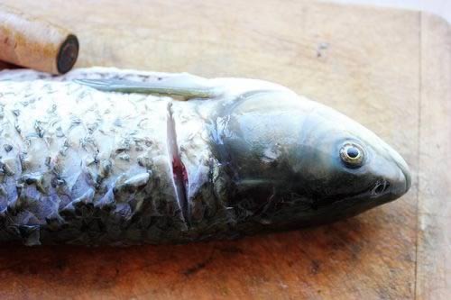 ����ͥ������˵�����