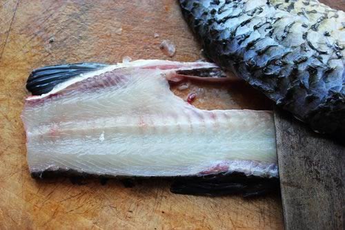 ����ͥ������˵�����