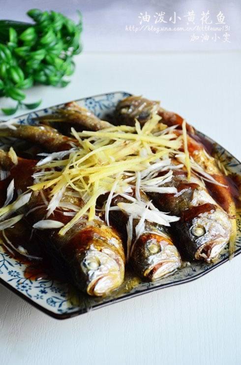 ����С�ƻ��������