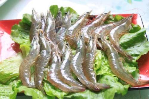 ��׻��������