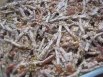 �����˿��������