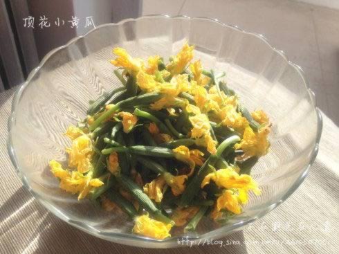 �峴����С�ƹϵ�����