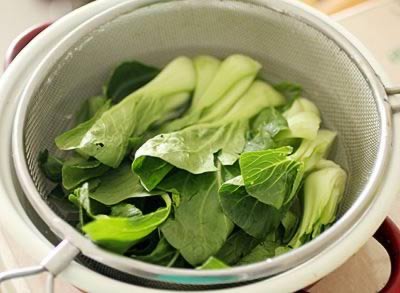 ��������ʨ��ͷ������