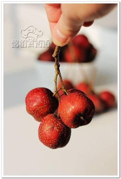 ����ɽ髵�����