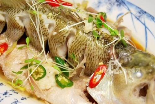酒酿蒸鲈鱼的做法