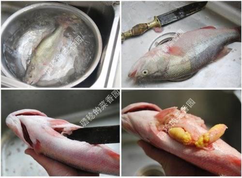 酒酿蒸鲈鱼的做法