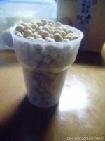 ���ƶ���������