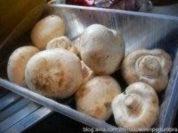 �����������Ģ��������