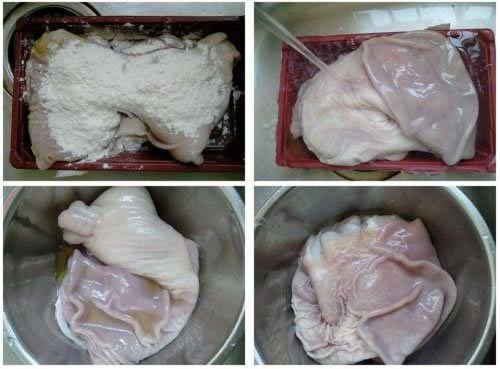 ���Ͷ̥������