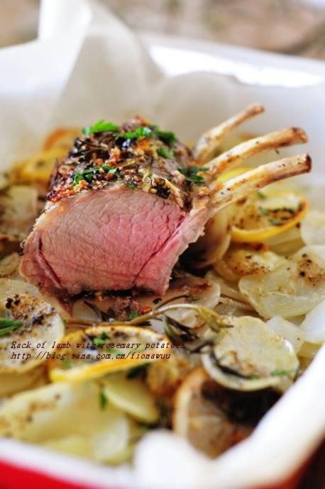 �ۿ�����������������