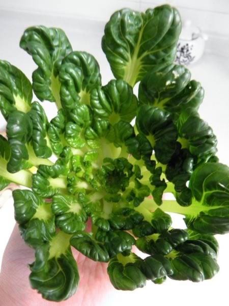 �ݹ������˵�����