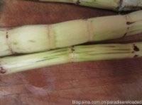 ������ݩ����������