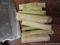 ������ݩ����������