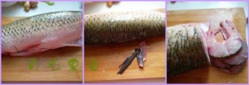 �ʽѬ�������