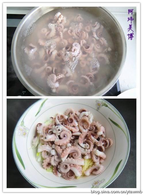 ����˫�������˿������ͷ������