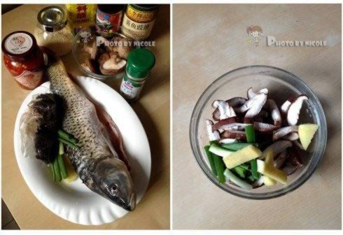 ��֭��Ƭ�罷�������